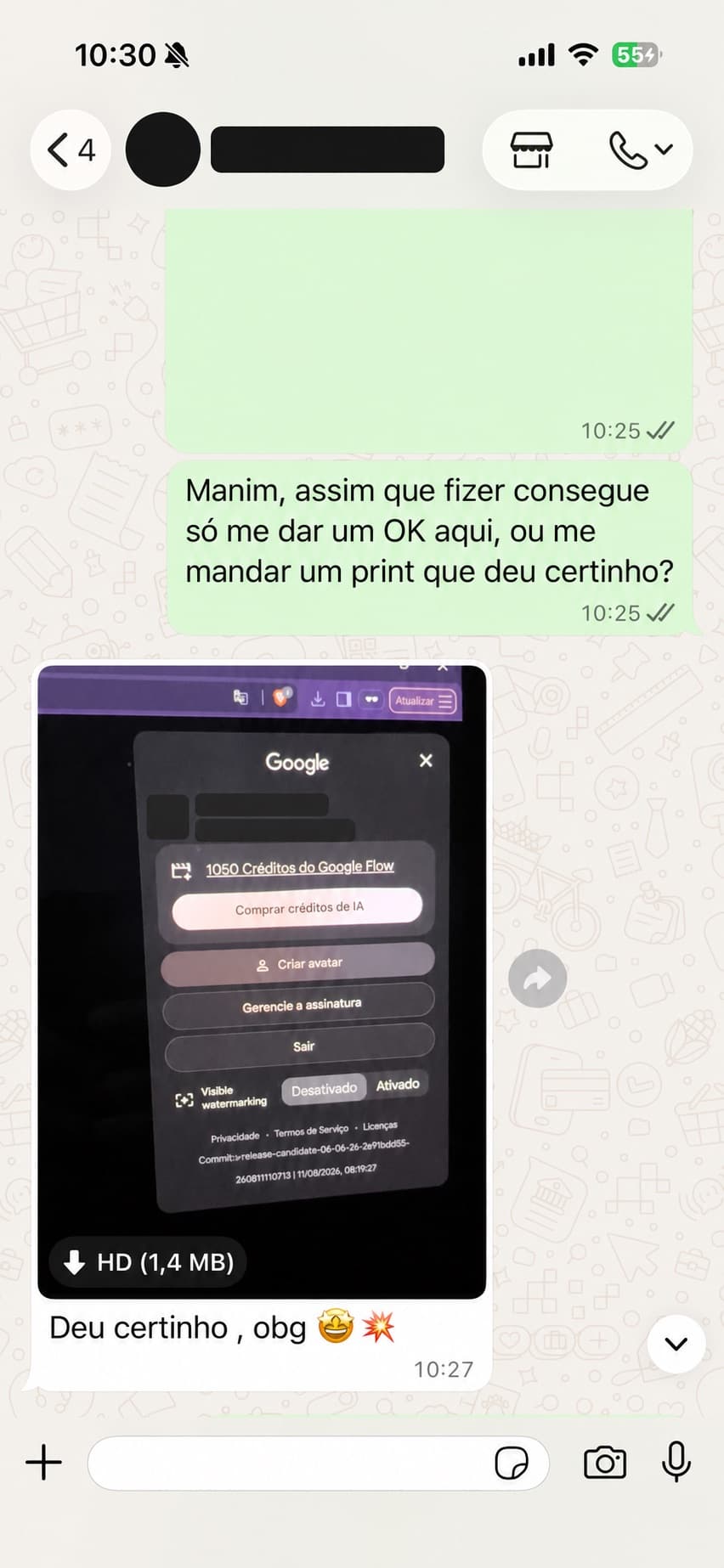 Conversa real de cliente confirmando que os créditos do Google Flow foram liberados
